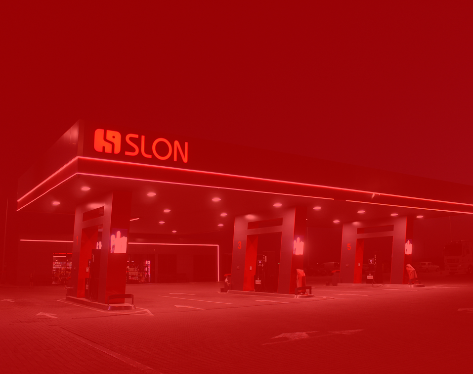 Azs slon